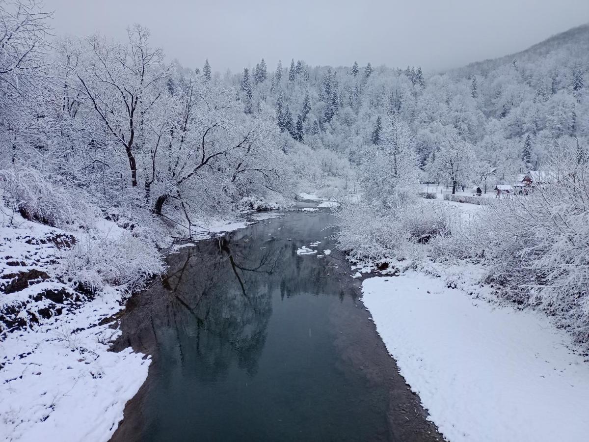 Під Горою 2 Villa Sheshory Buitenkant foto