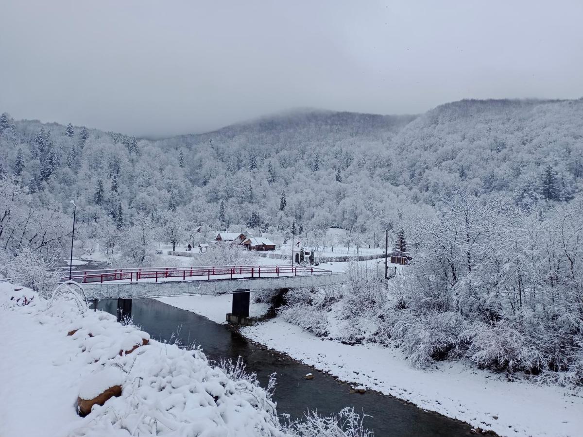 Під Горою 2 Villa Sheshory Buitenkant foto